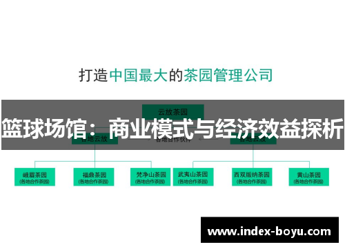 篮球场馆：商业模式与经济效益探析