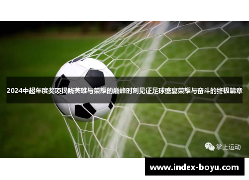 2024中超年度奖项揭晓英雄与荣耀的巅峰时刻见证足球盛宴荣耀与奋斗的终极篇章