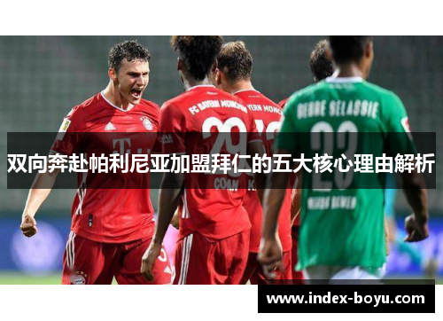 双向奔赴帕利尼亚加盟拜仁的五大核心理由解析