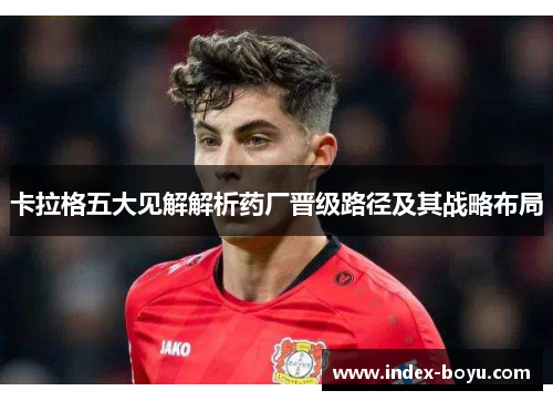 卡拉格五大见解解析药厂晋级路径及其战略布局