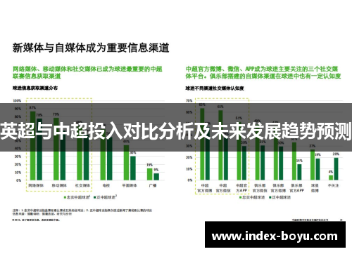 英超与中超投入对比分析及未来发展趋势预测