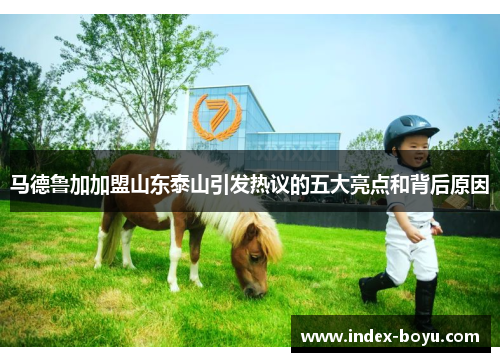 马德鲁加加盟山东泰山引发热议的五大亮点和背后原因