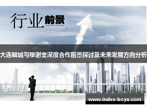 大连鲲城与穆谢奎深度合作前景探讨及未来发展方向分析
