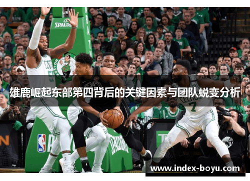 雄鹿崛起东部第四背后的关键因素与团队蜕变分析