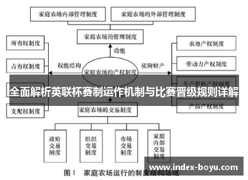 全面解析英联杯赛制运作机制与比赛晋级规则详解
