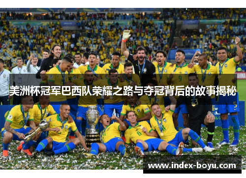 美洲杯冠军巴西队荣耀之路与夺冠背后的故事揭秘