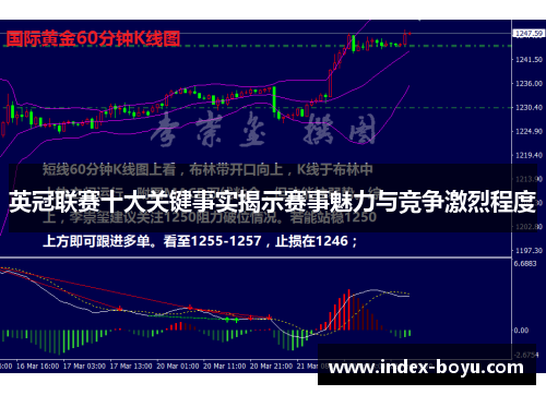 英冠联赛十大关键事实揭示赛事魅力与竞争激烈程度